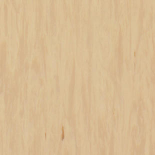 Standard Plus 21003484