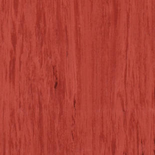 Standard Plus 21003488
