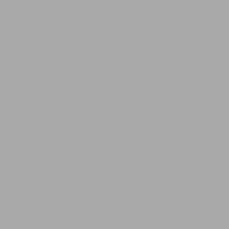 Iconik RR-083